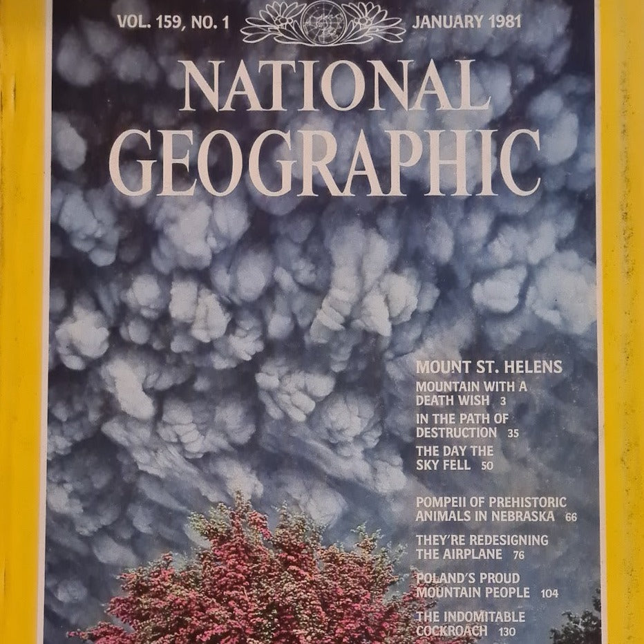 Lot of 9: 1981 National Geographic deals Magazines Volumes 159, 160