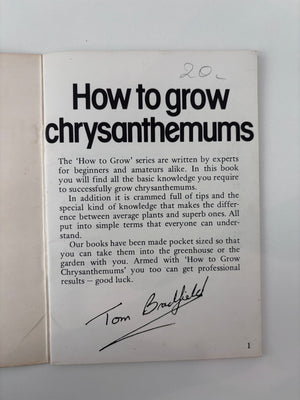 How To Grow Chrysanthemums