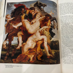Larousse Dictionary Of Painters