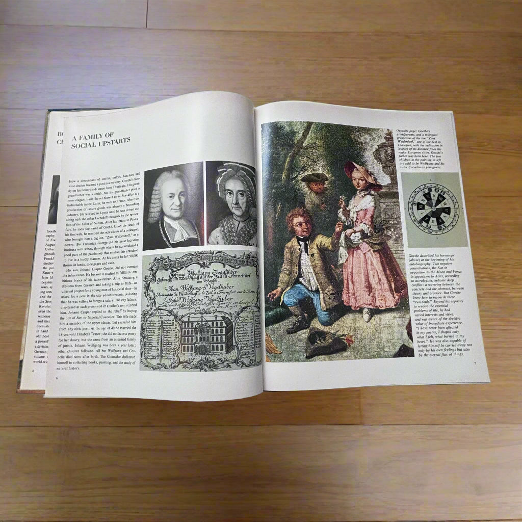 The Life And Times Of Goethe