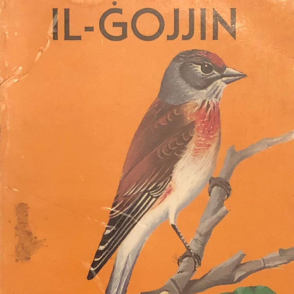 Il-Gojjin IL-Hames Ktieb