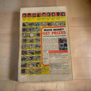 The Human Fly #19 (Marvel Comics March 1979)