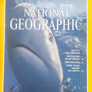 National Geographic January 1995