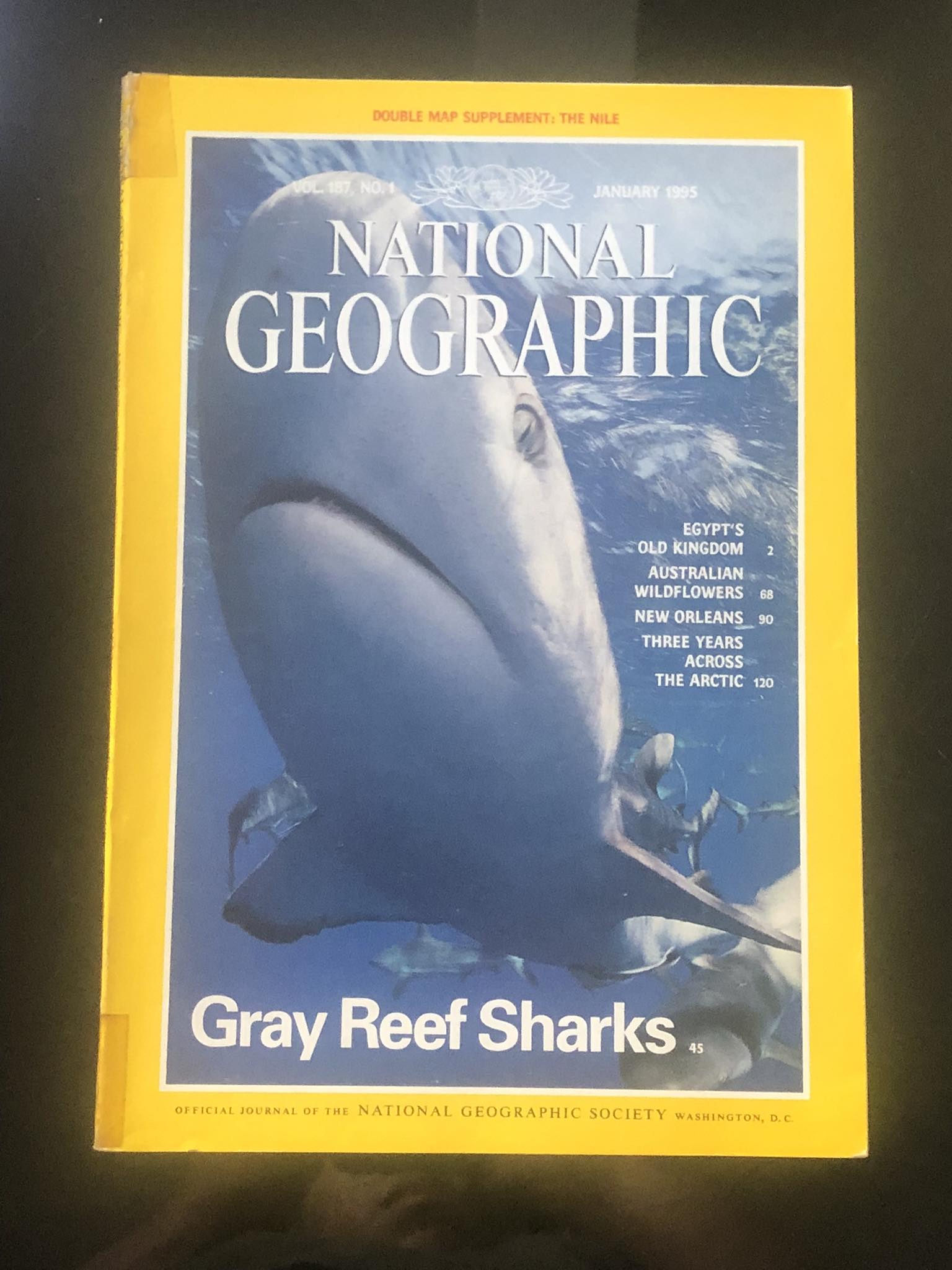 National Geographic January 1995