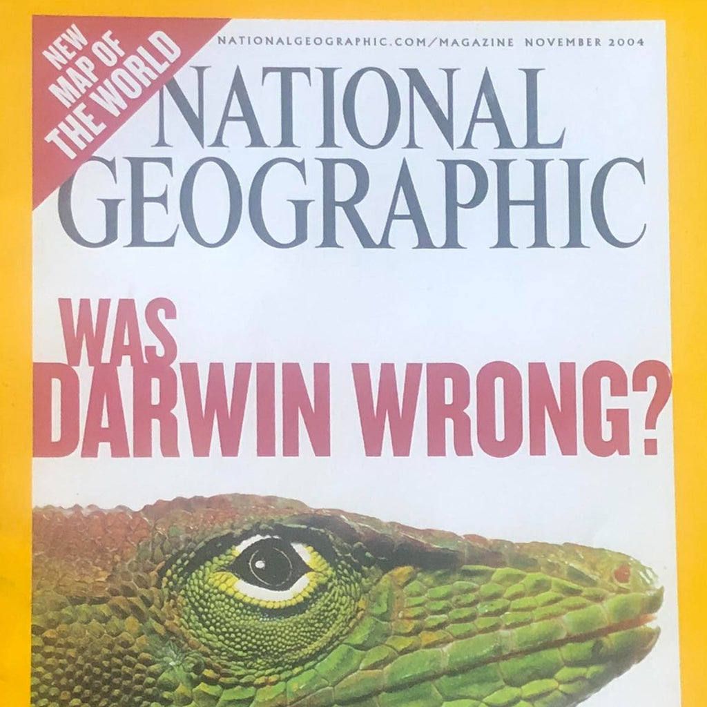 National Geographic November 2004