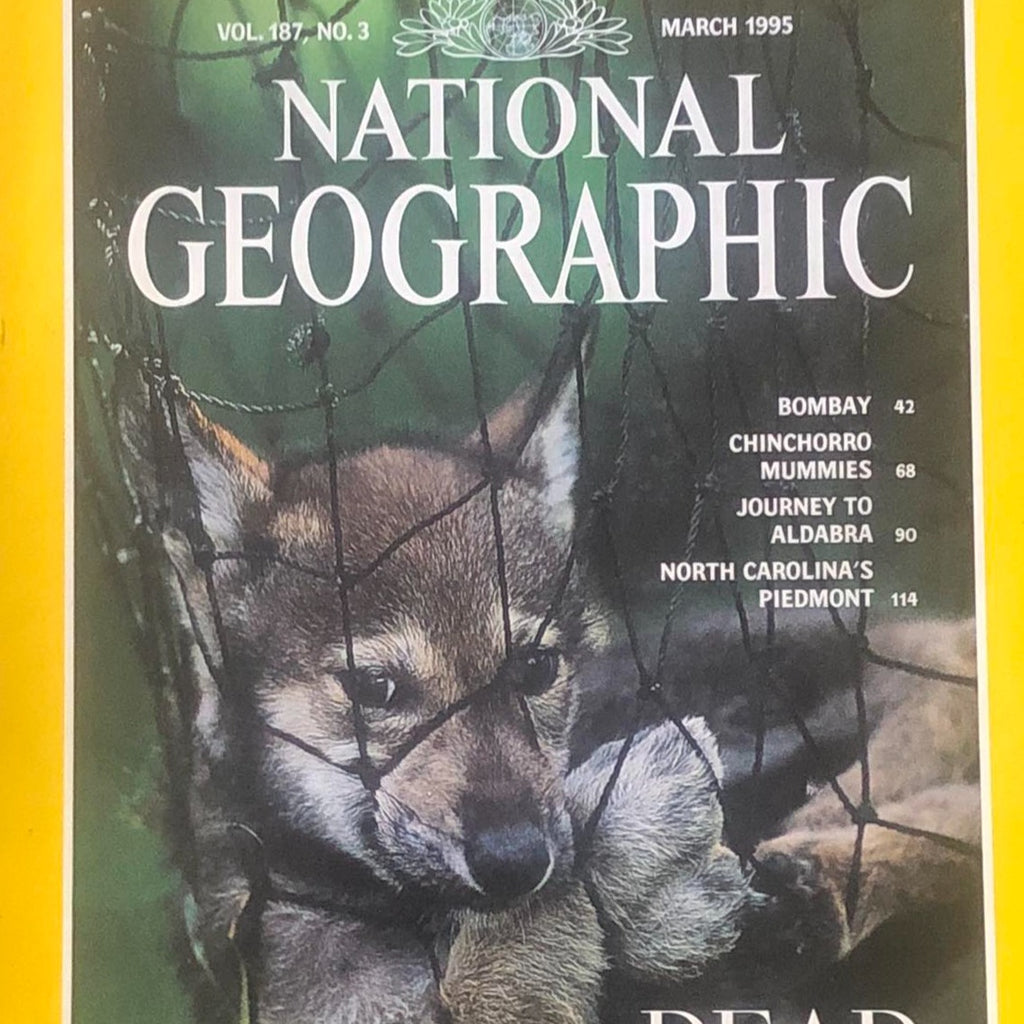 National Geographic March 1995