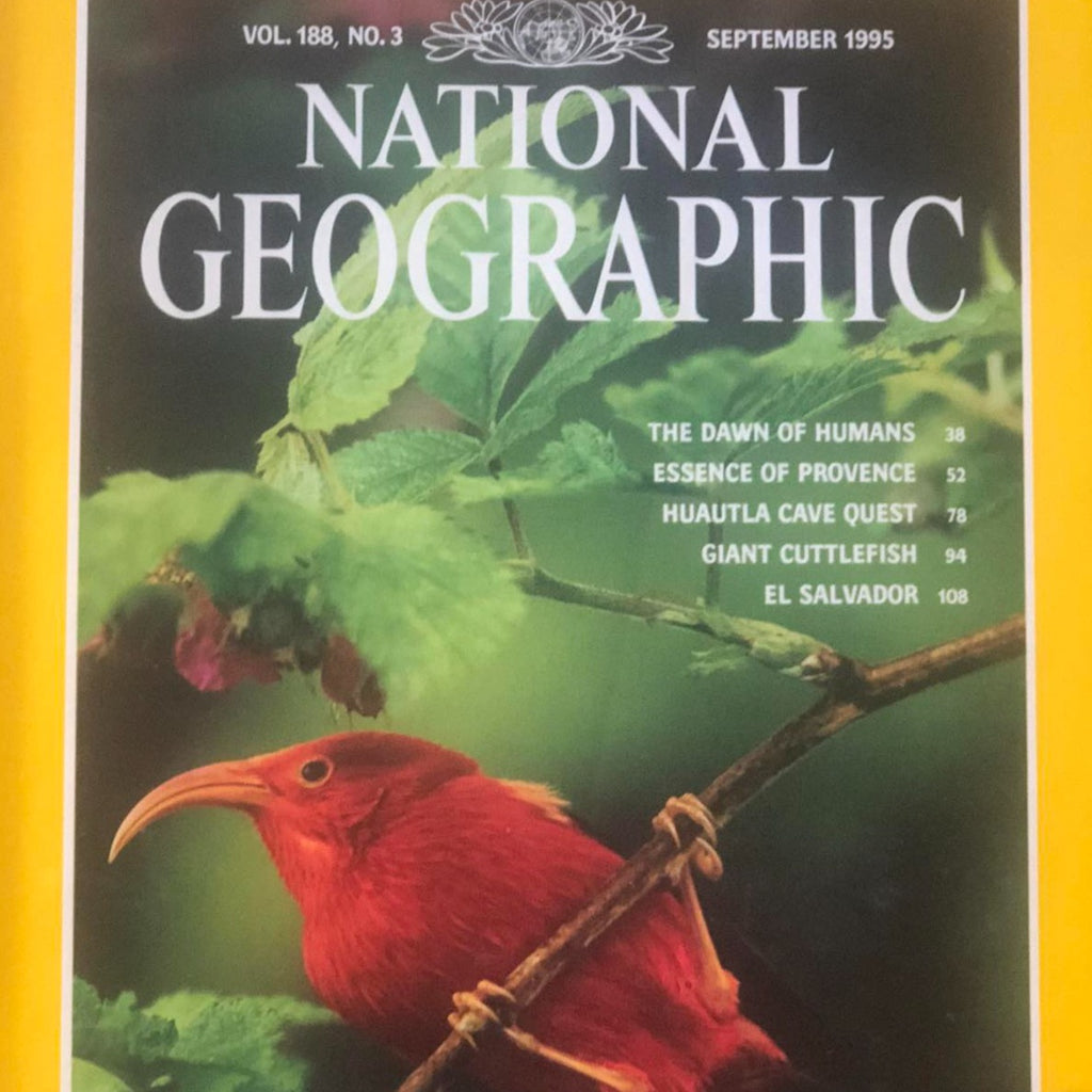 National Geographic September 1995