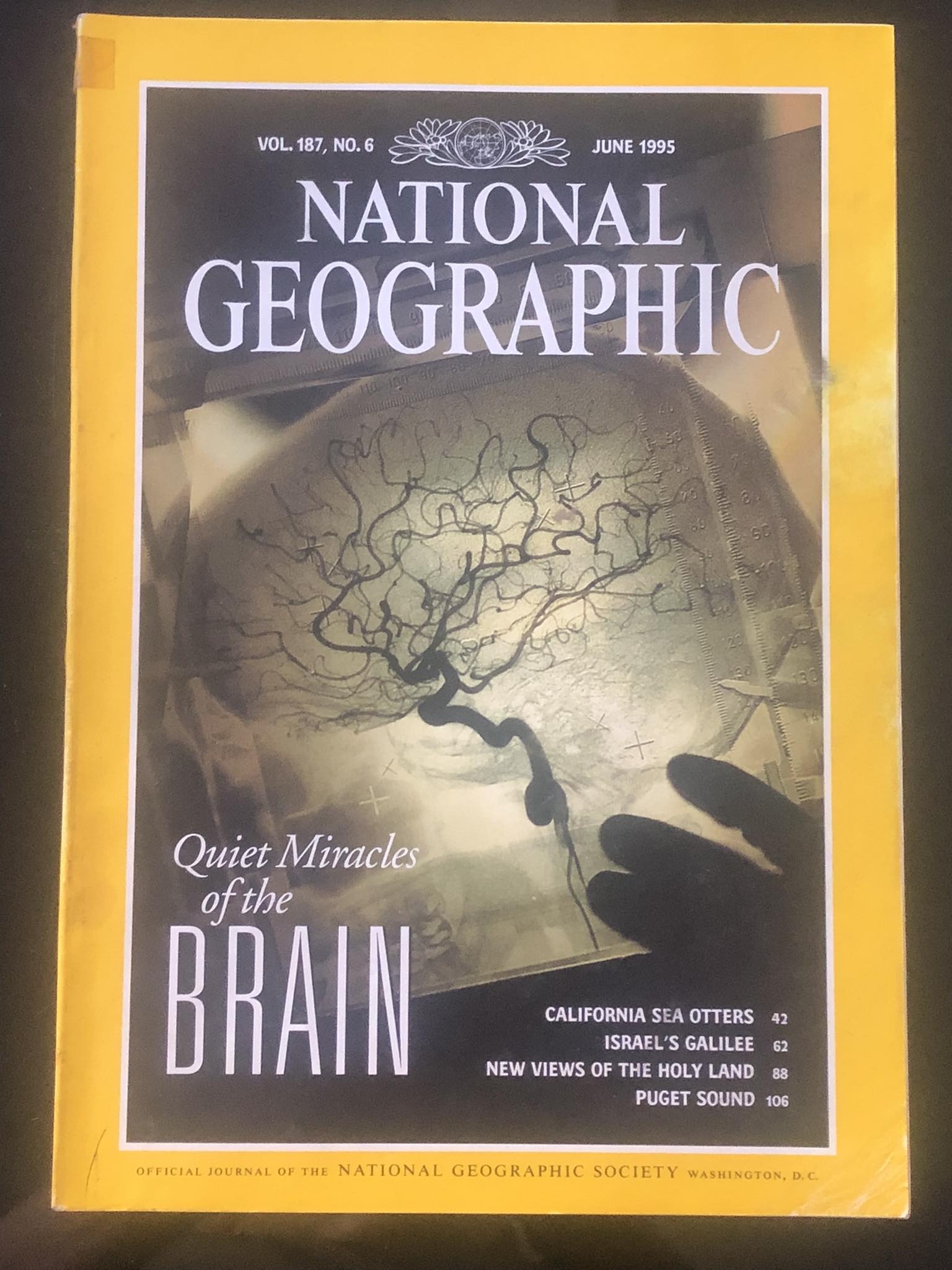 National Geographic June 1995