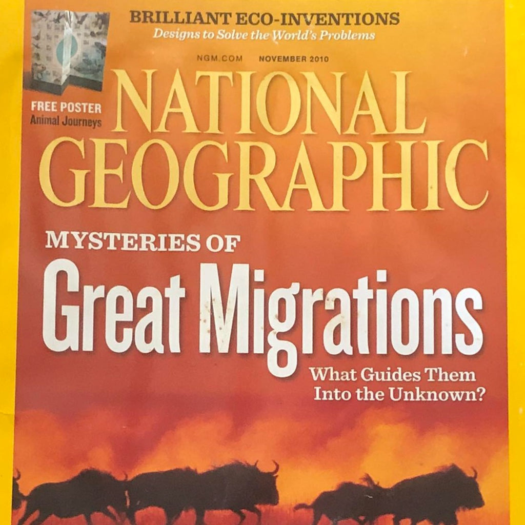 National Geographic November 2010