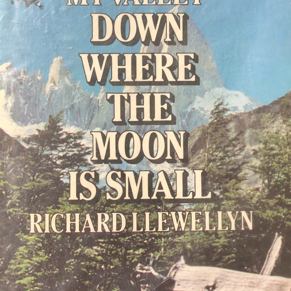 Down Where the Moon is Small