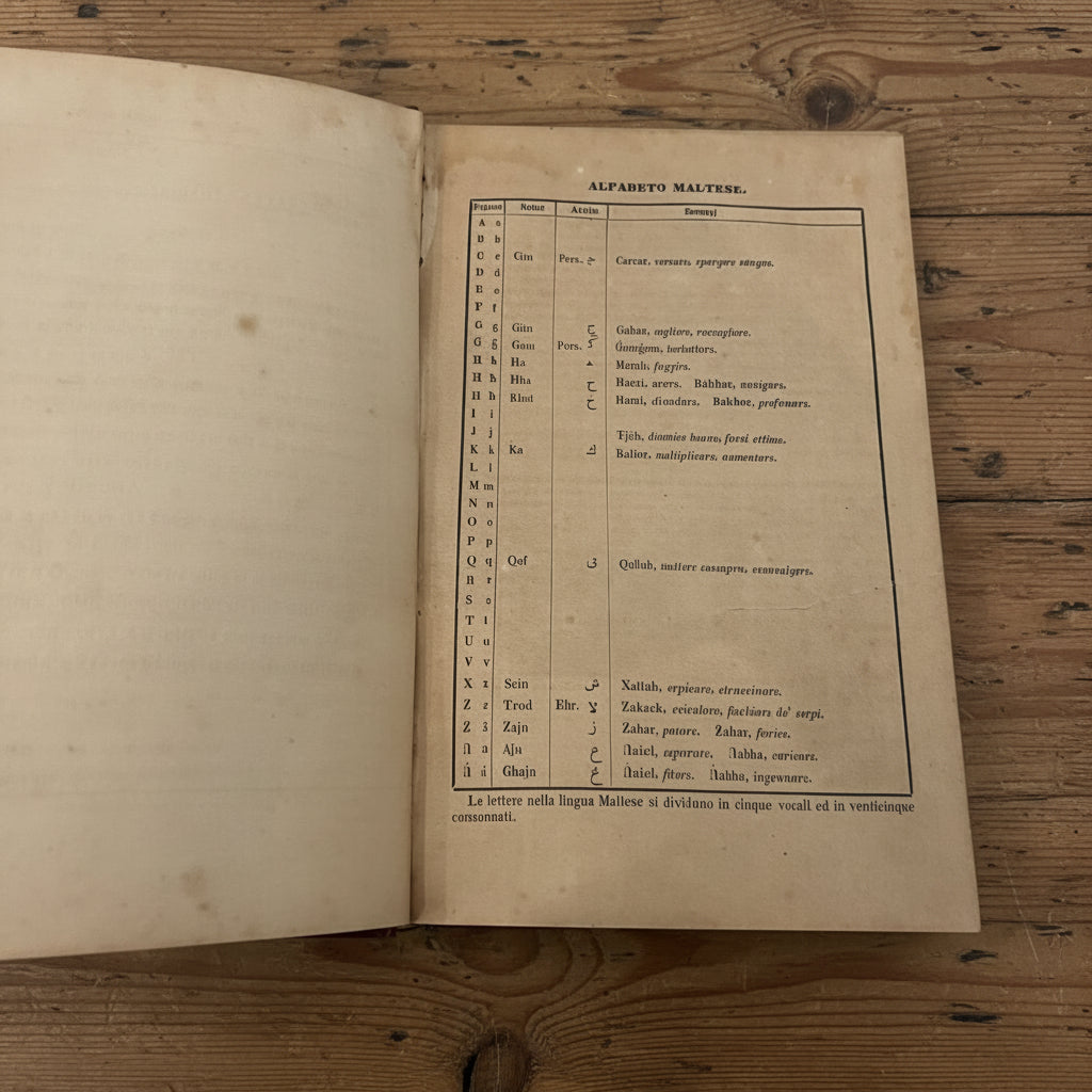 Dizionario Maltese - Italiano - Inglese