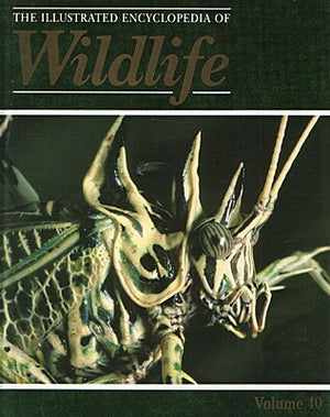 The Illustrated Encyclopedia of Wildlife Full Set Vol 1 - Vol 62