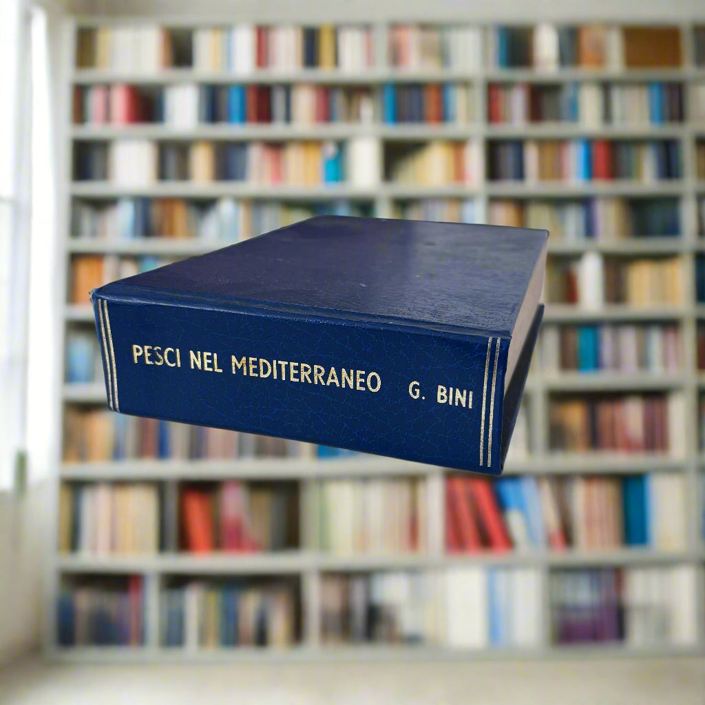 Pesci Nel Mediterraneo
