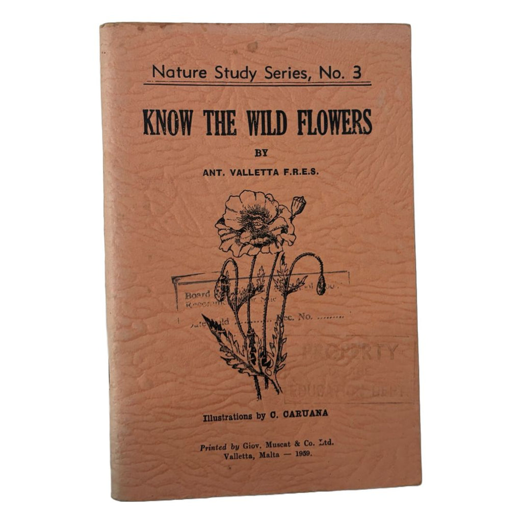 Know The Wild Flowers (Nature Study Series, No 3)