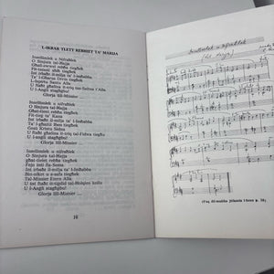 Florilegju Marjan Jew Damma Ta` Tifhir Lill-Madonna