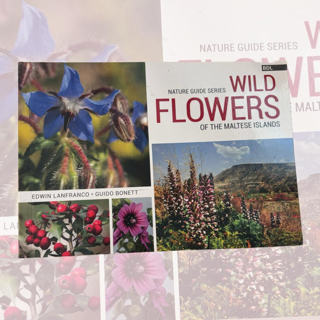 Nature Guide Series Wild Flowers Of The Maltese Islands