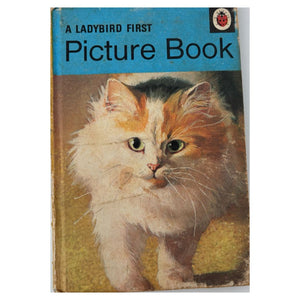 A Ladybird First Picture Book