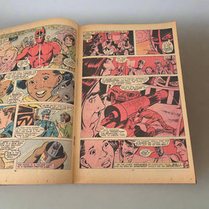 STAN LEE PRESENTS - THE HUMAN FLY! Vol. 1, Nr. 17, Jan 1979