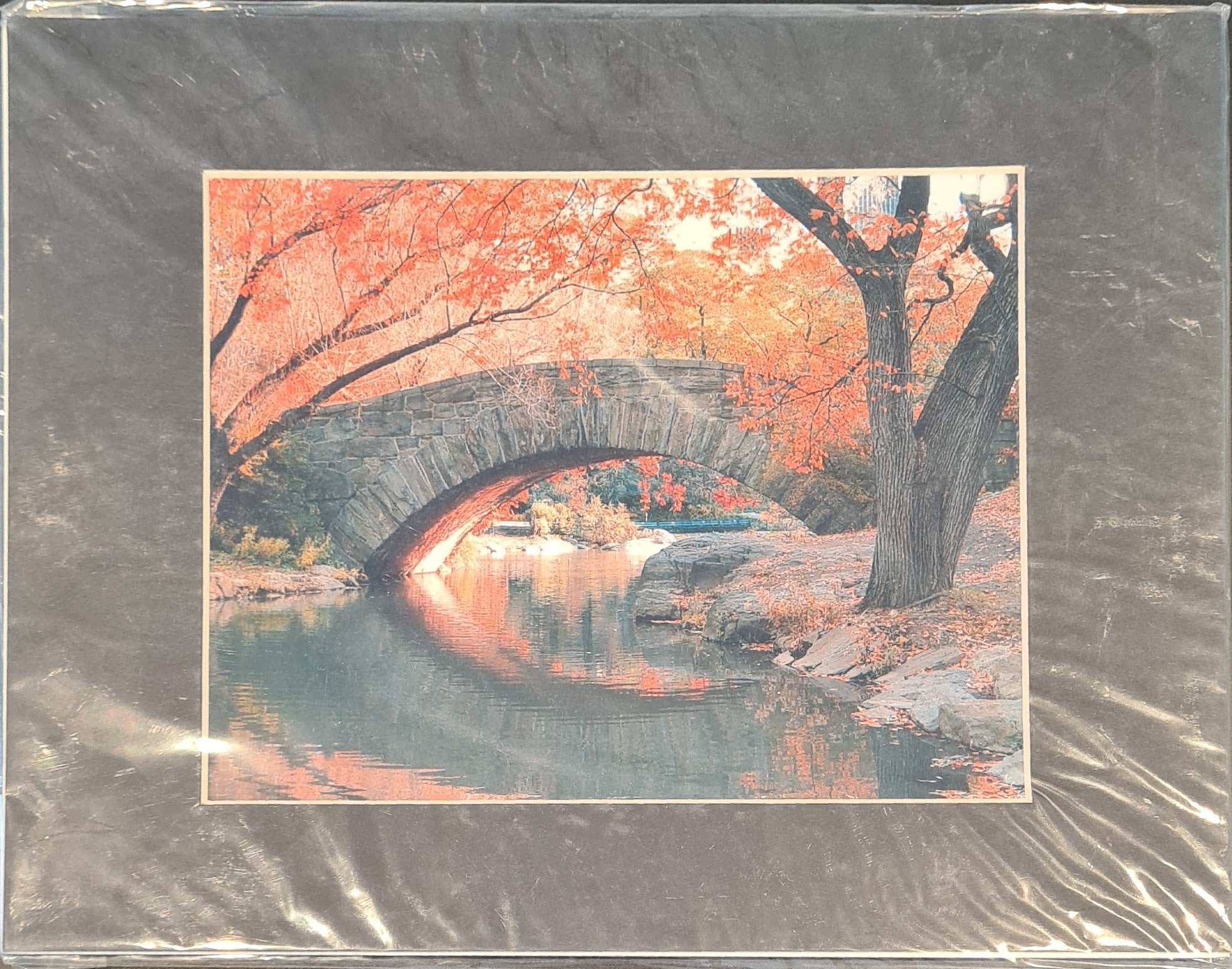 The Autumn Bridge