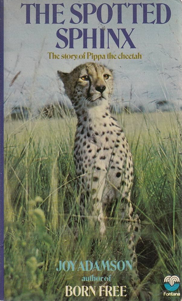 The Spotted Sphinx