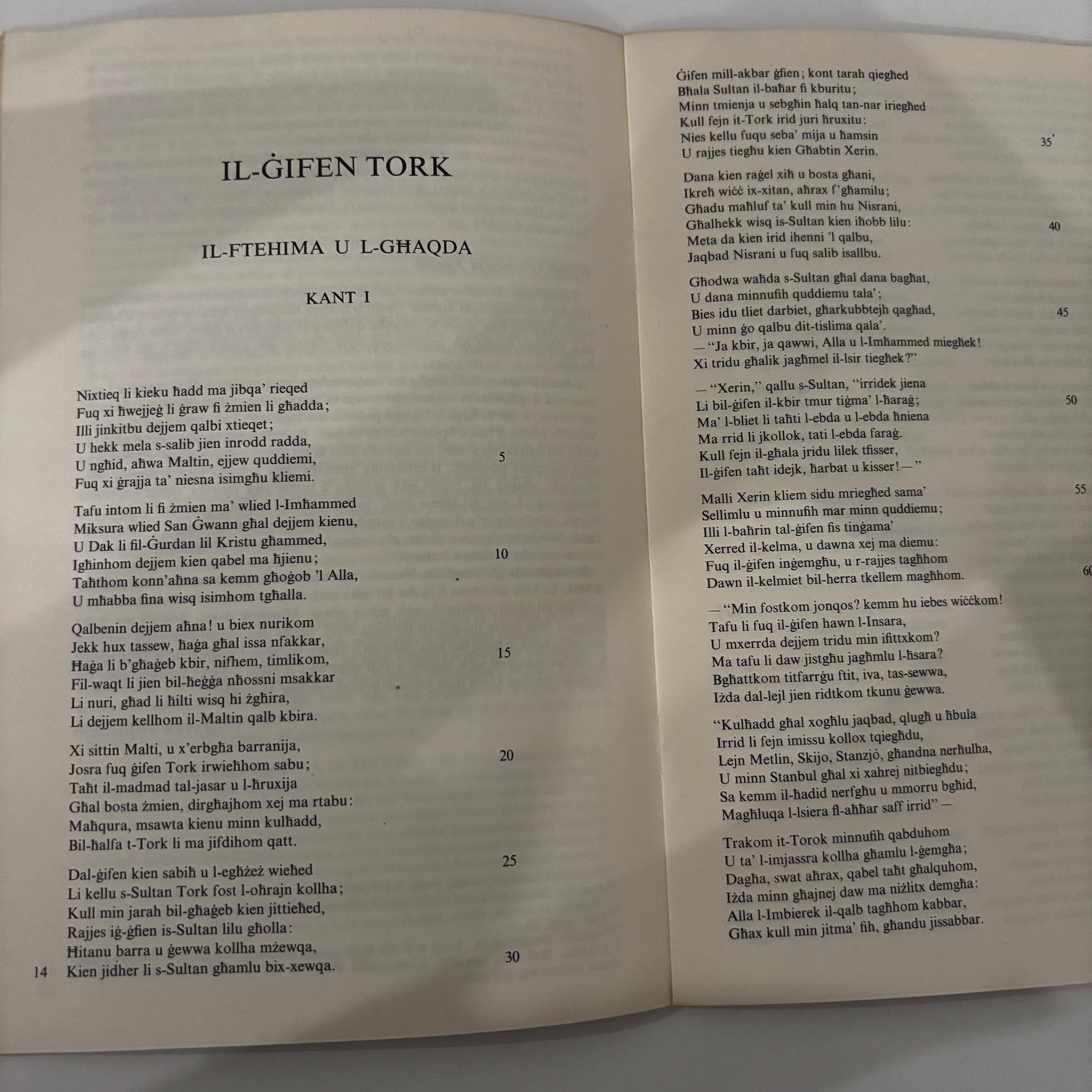 Il-Gnien Tork
