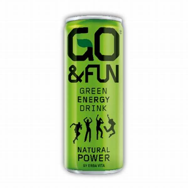 Go & Fun Energy Drink 250ml