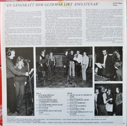 Jan Sparring & Norlins – Svenska Folkets Vackraste Läsarsånger - Vinyl