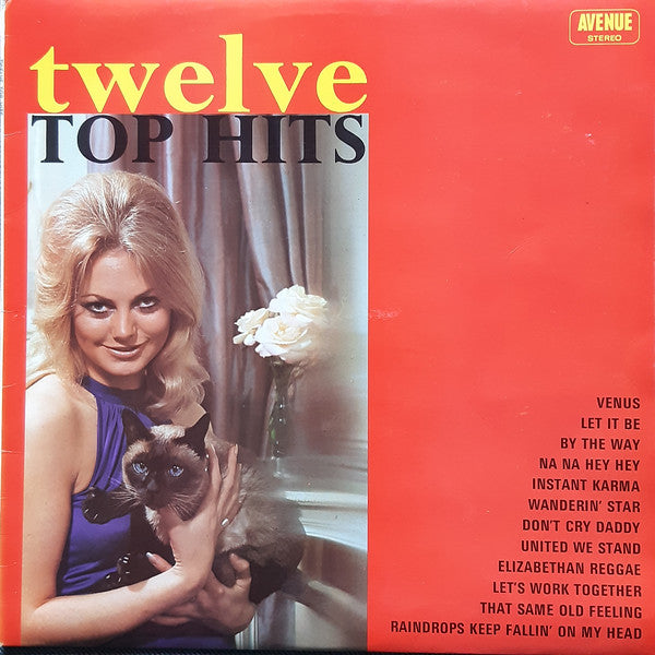 Twelve Top Hits – Vinyl