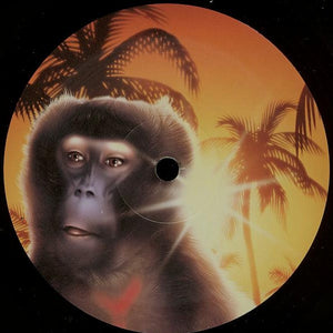 Basement Jaxx – Jus 1 Kiss – Vinyl