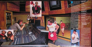 Various – The Wrestling Album – Vinyl