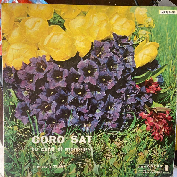 Coro SAT* – 10 Canti Di Montagna - Vol. VII - Vinyl