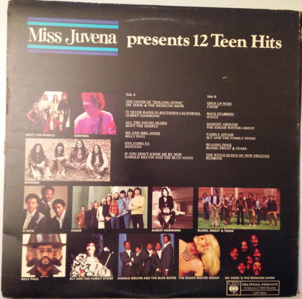 Miss Juvena Presents 12 Teen Hits - Vinyl
