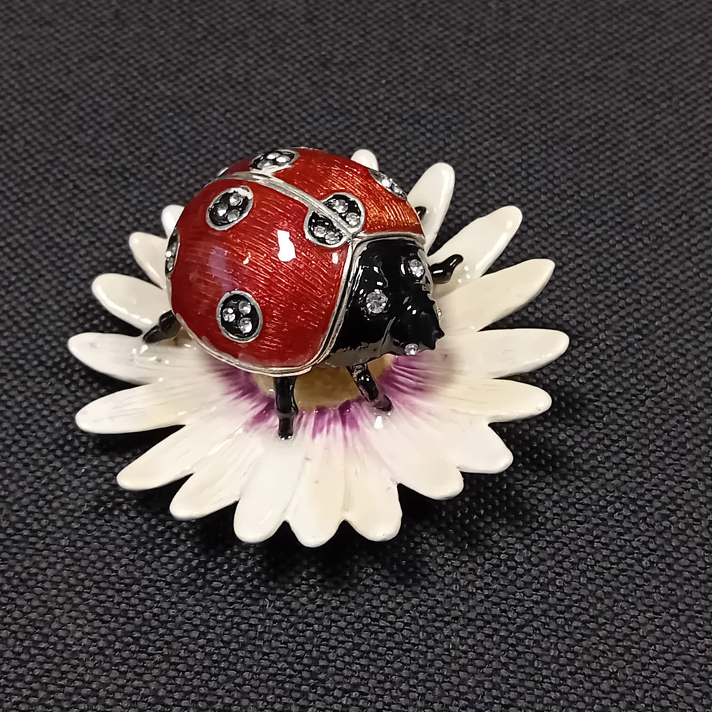 Ladybug
