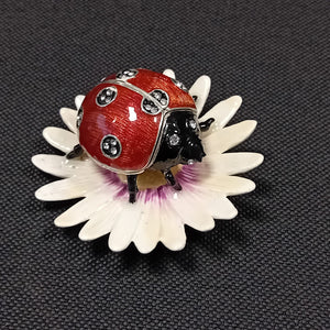Ladybug