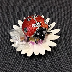 Ladybug