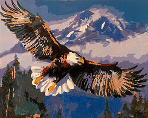 Aquila