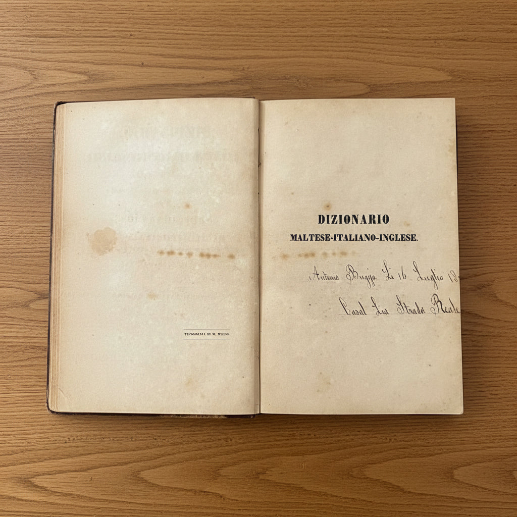 Dizionario Maltese - Italiano - Inglese