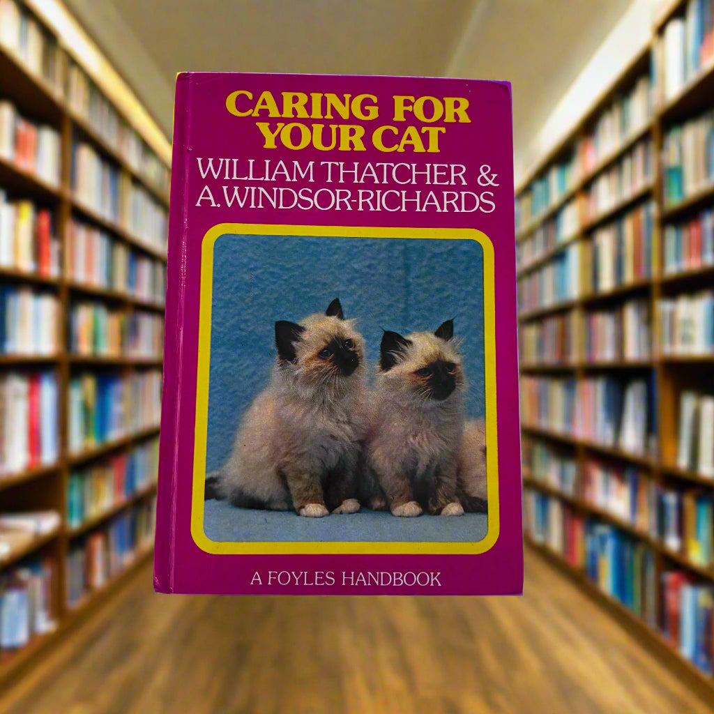 Caring For Your Cat