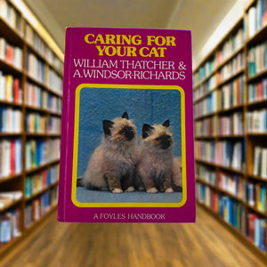 Caring For Your Cat