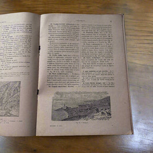 Il 10. Anno Di Geografia
