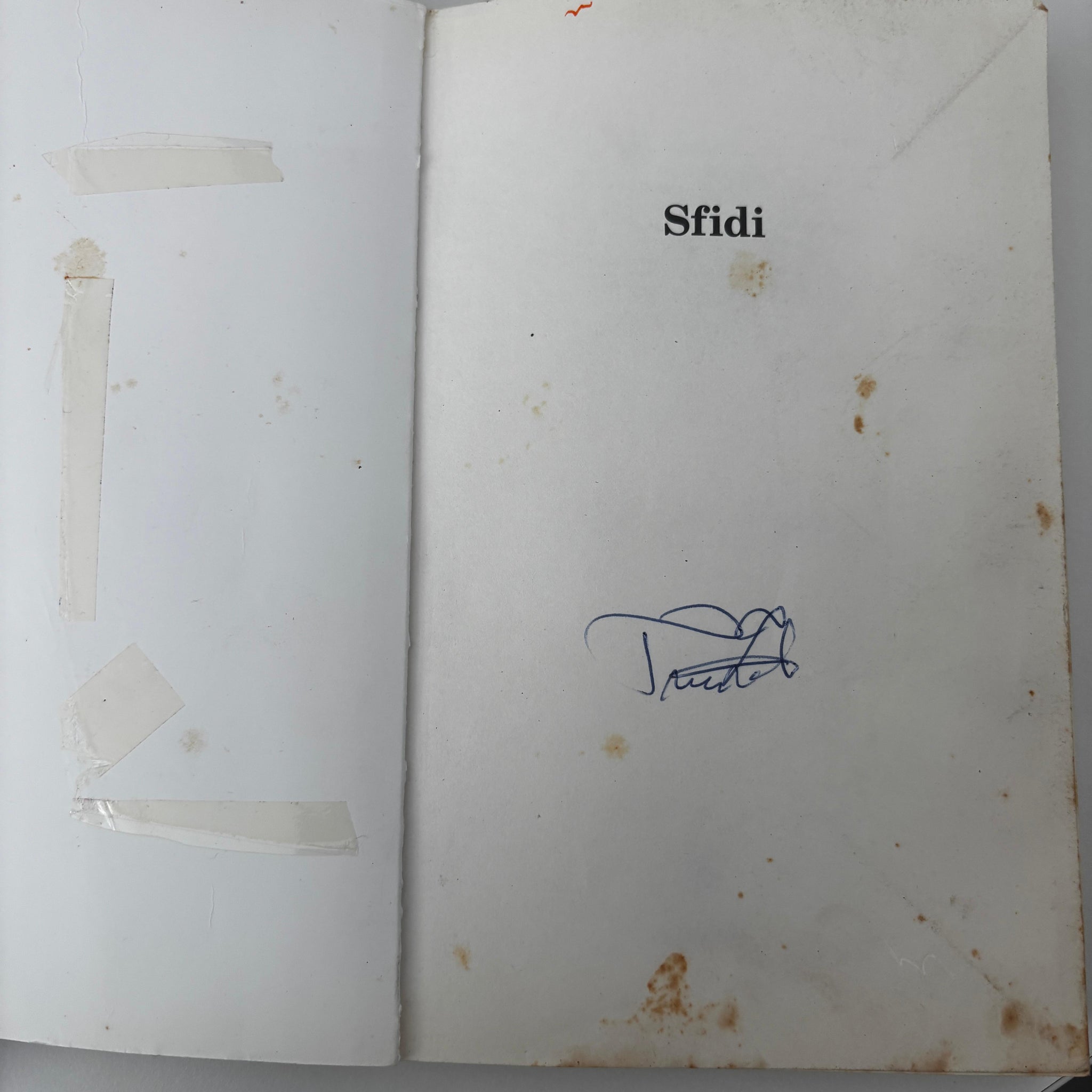 Sfidi