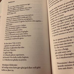Denb Il-Vlegga