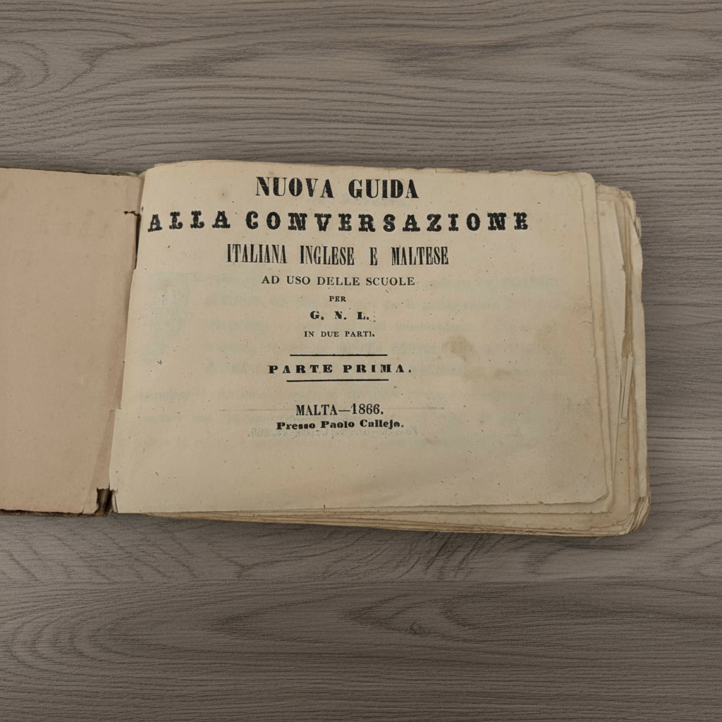 Nuova Guida Alla Conversazione Italiana Inglese E Maltese