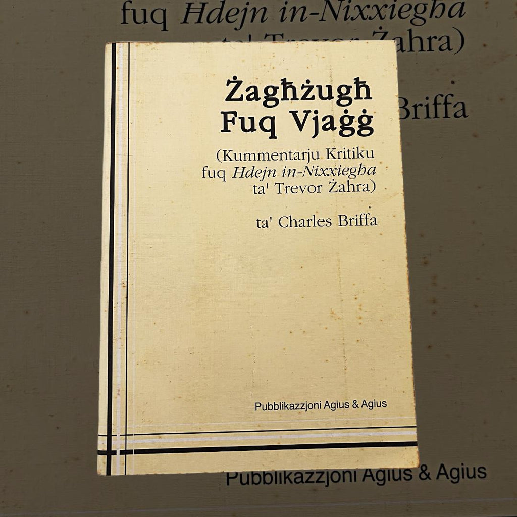 Zaghzugh Fuq Vjagg