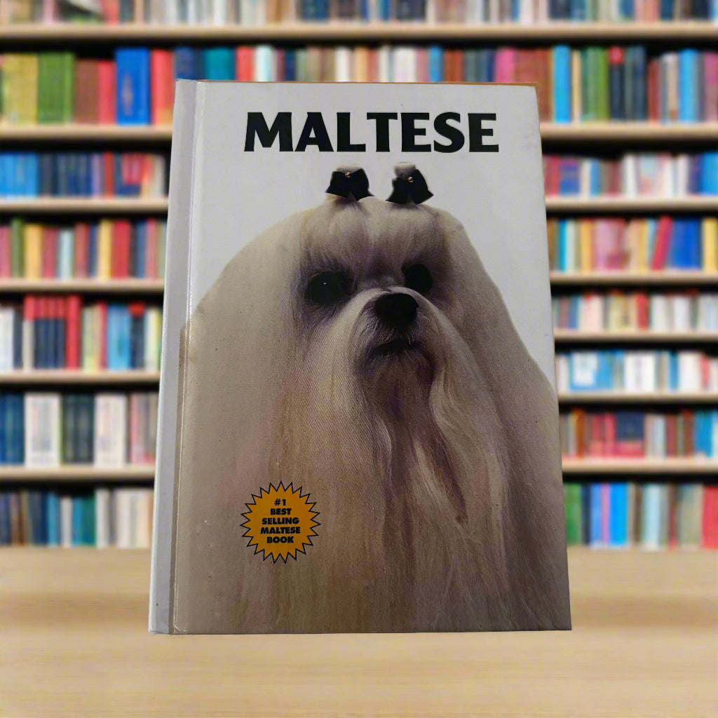 Maltese