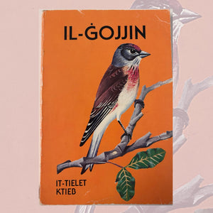 Il-Gojjin It-Tielet Ktieb