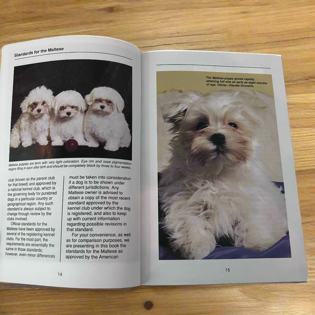 Maltese