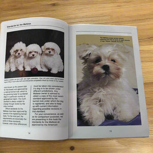 Maltese