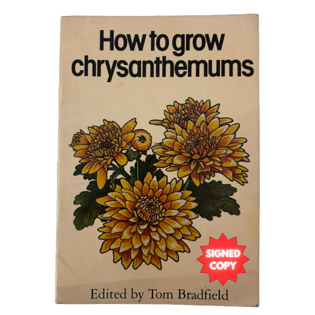 How To Grow Chrysanthemums