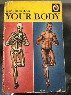 Your Body